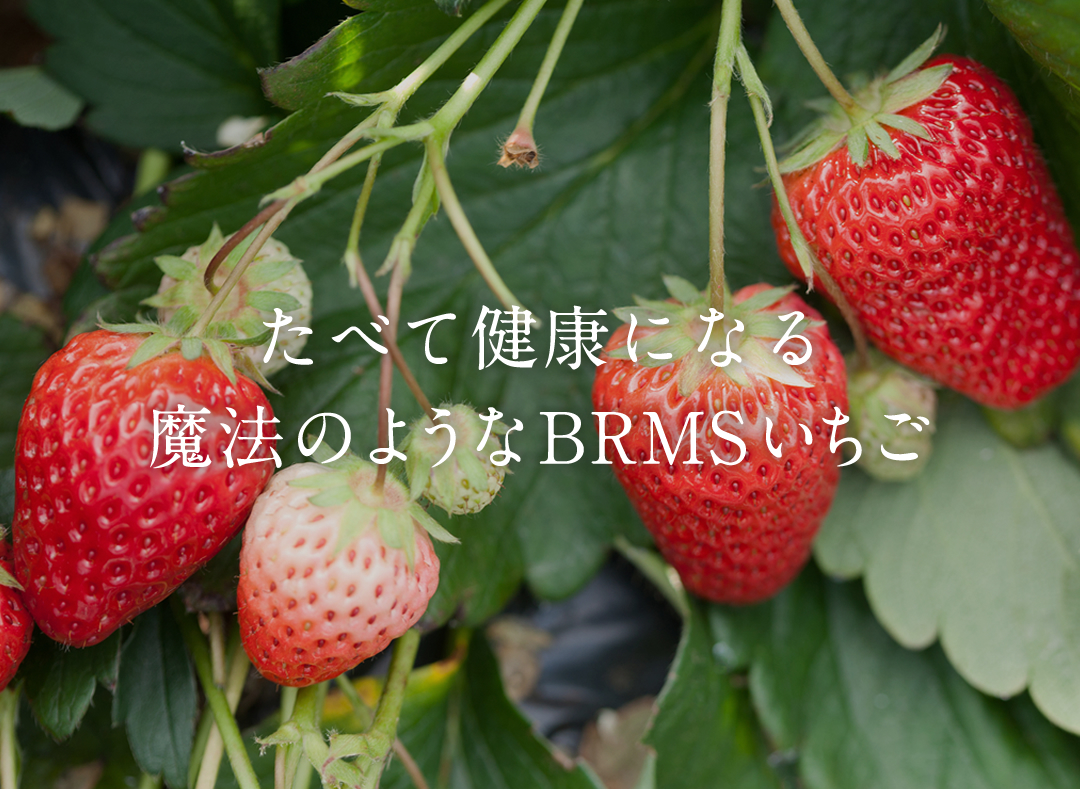 長崎県大村市のbrms バームス いちごならむらいらんど